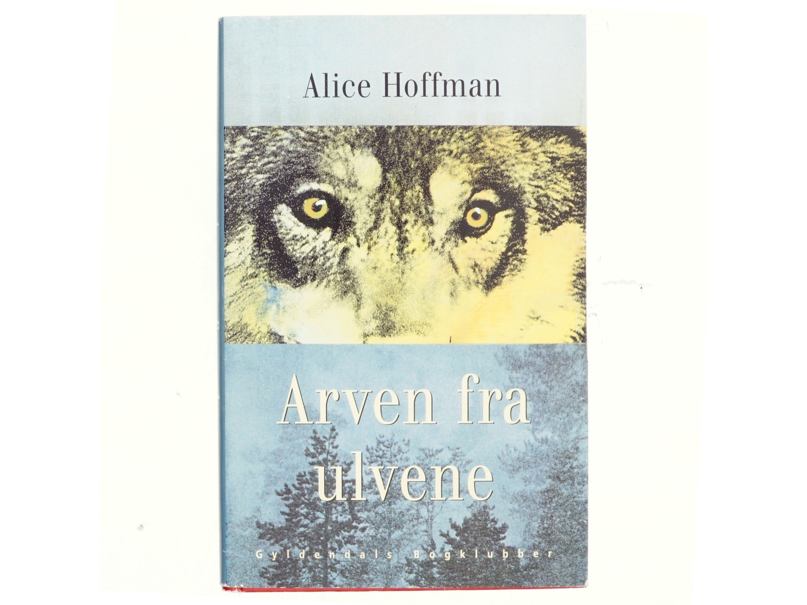 Arven fra ulvene : roman af Alice Hoffman (Bog)