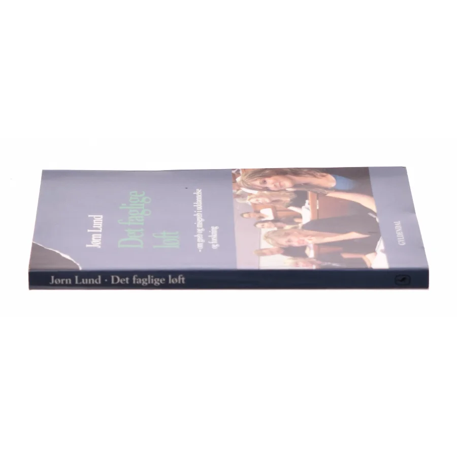 Det faglige løft : om greb og misgreb i uddannelse og forskning af Jørn Lund (f. 1946) (Bog)