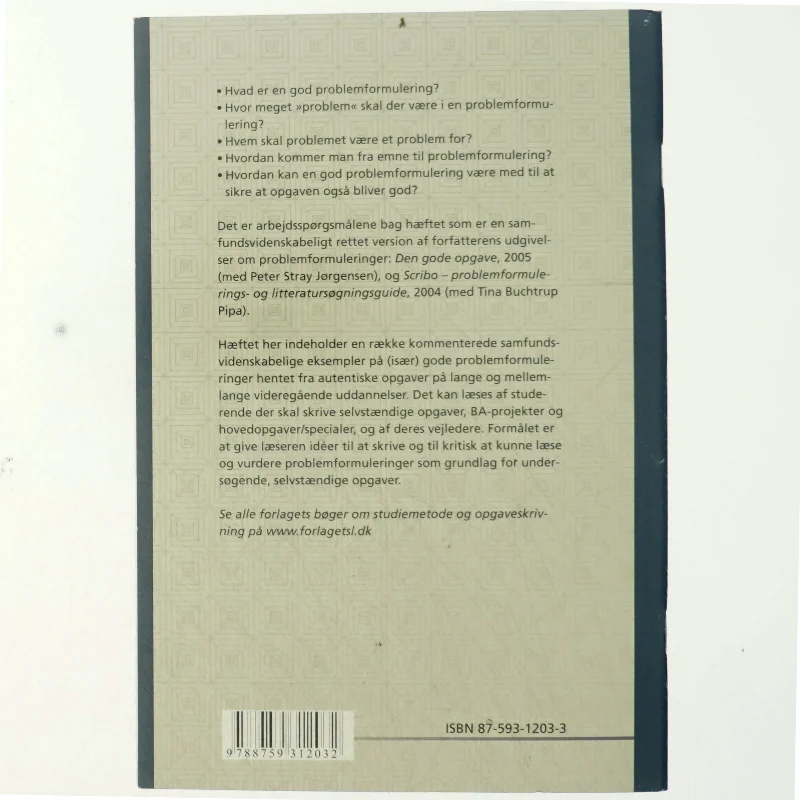 Problemformulering på de samfundsvidenskabelige uddannelser af Lotte Rienecker (Bog)