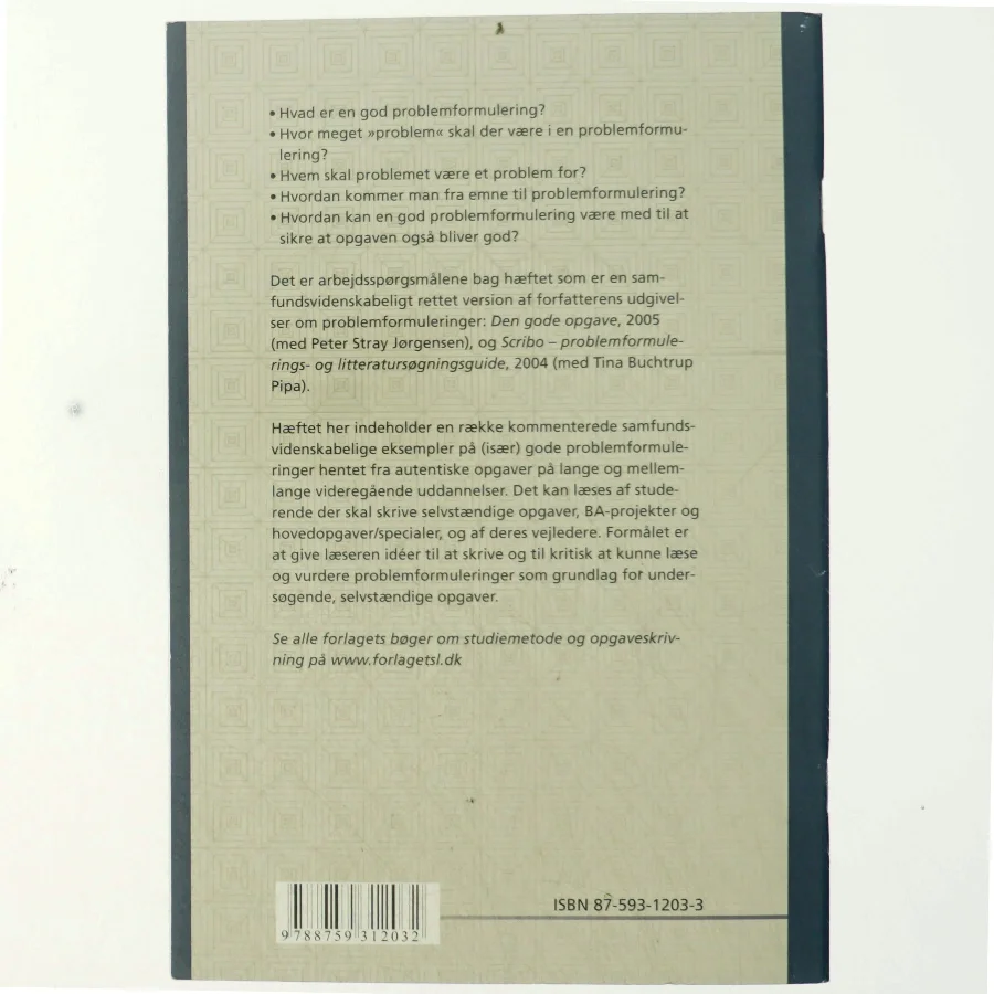 Problemformulering på de samfundsvidenskabelige uddannelser af Lotte Rienecker (Bog)