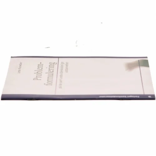 Problemformulering på de samfundsvidenskabelige uddannelser af Lotte Rienecker (Bog)