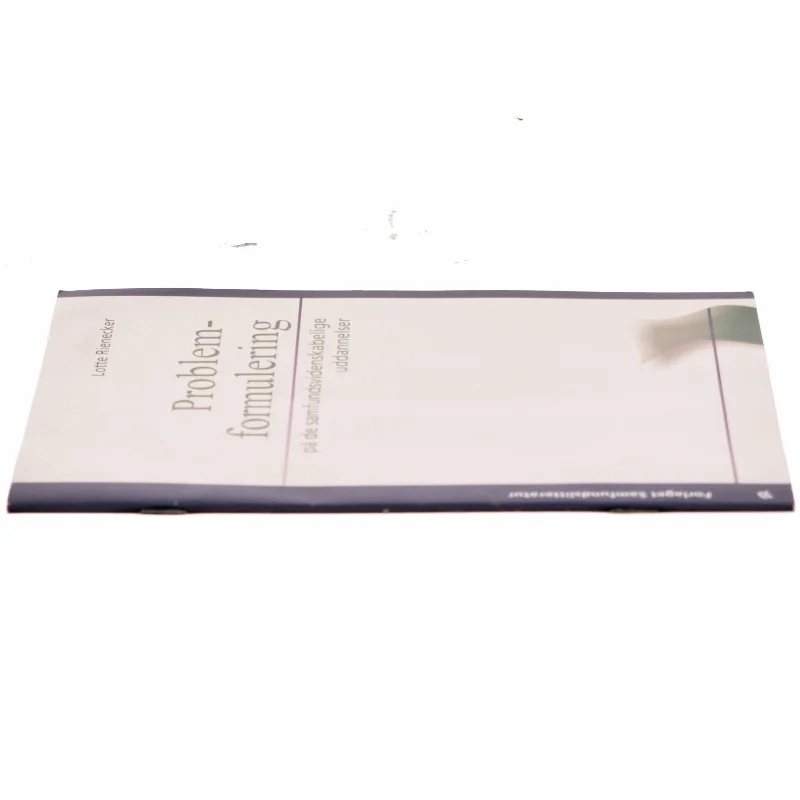 Problemformulering på de samfundsvidenskabelige uddannelser af Lotte Rienecker (Bog)