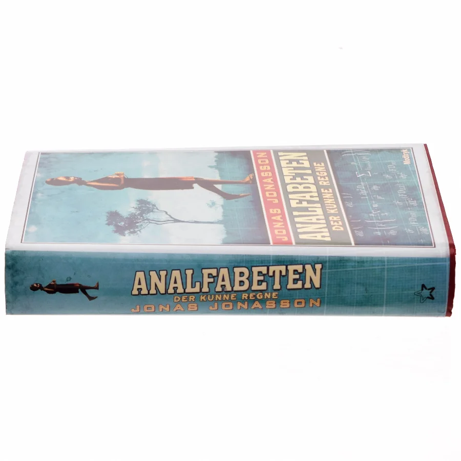 Analfabeten der kunne regne af Jonas Jonasson (Bog)