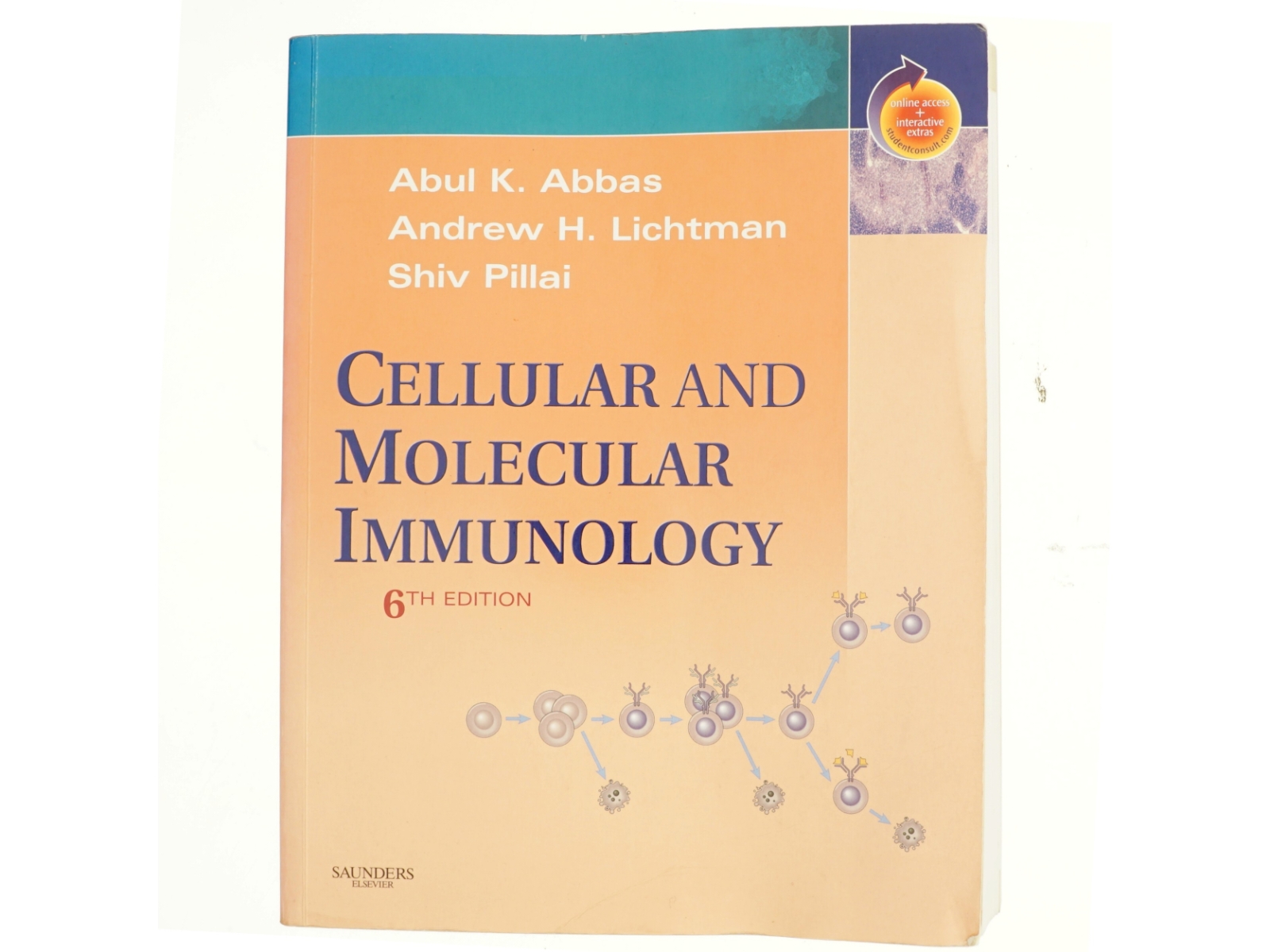 Cellular and molecular immunology (Bog)