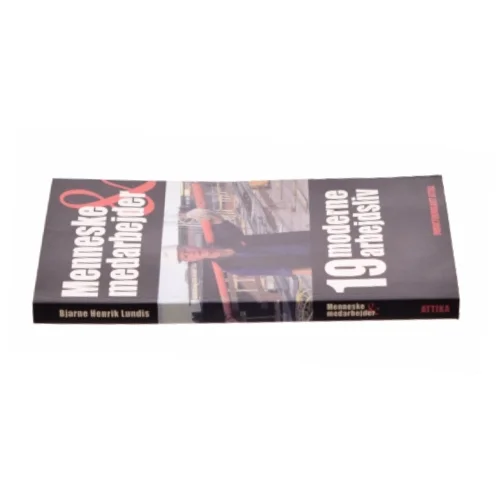 Menneske & medarbejder af Bjarne Henrik Lundis (Bog)