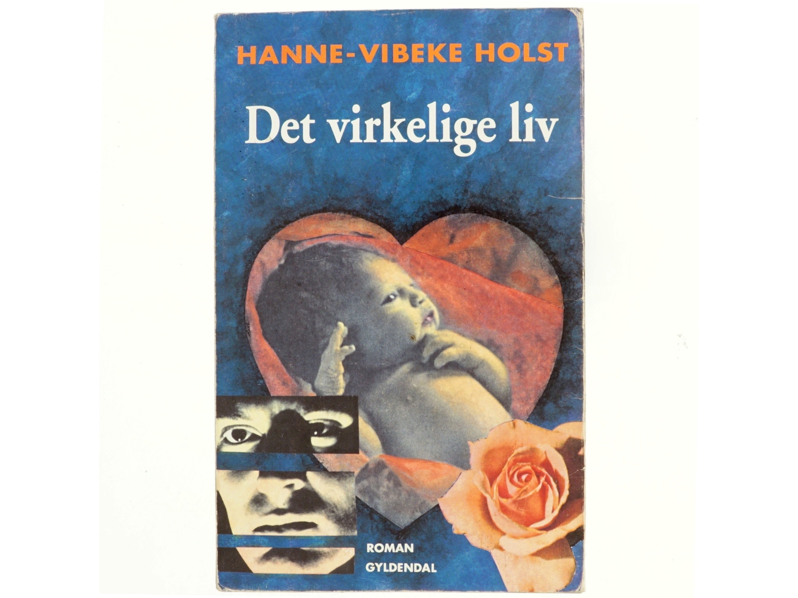 Det virkelige liv : roman af Hanne-Vibeke Holst (Bog)
