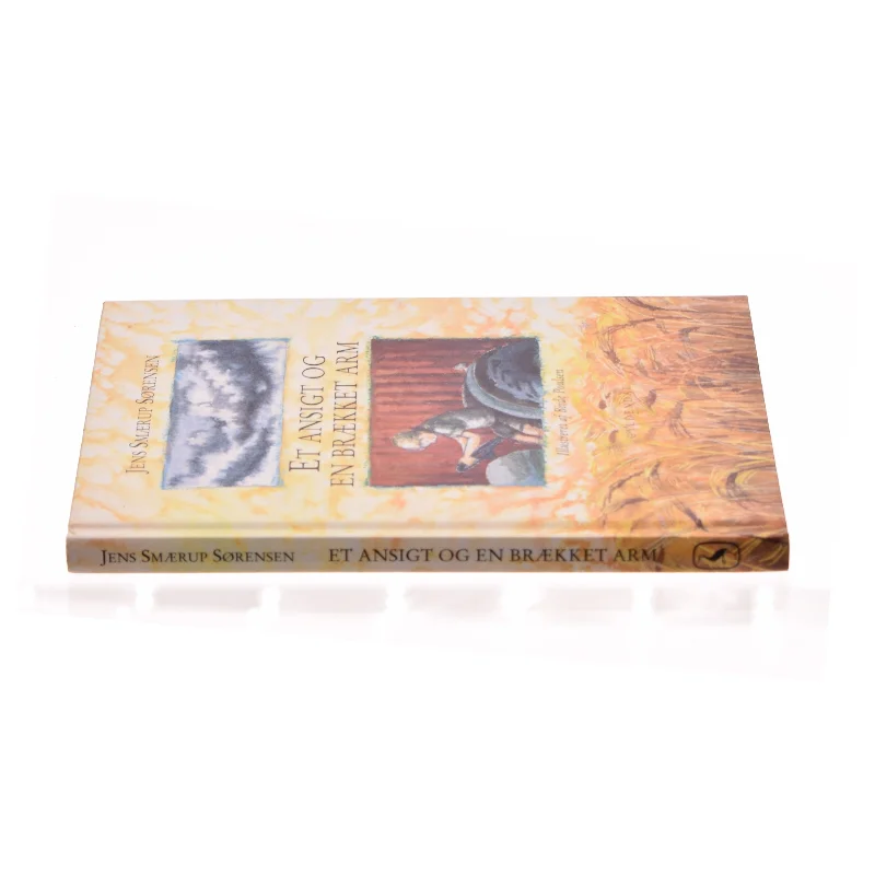 Et ansigt og en brækket arm af Jens Smærup Sørensen (Bog)