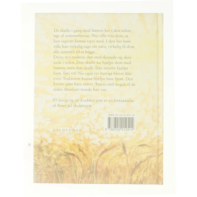 Et ansigt og en brækket arm af Jens Smærup Sørensen (Bog)