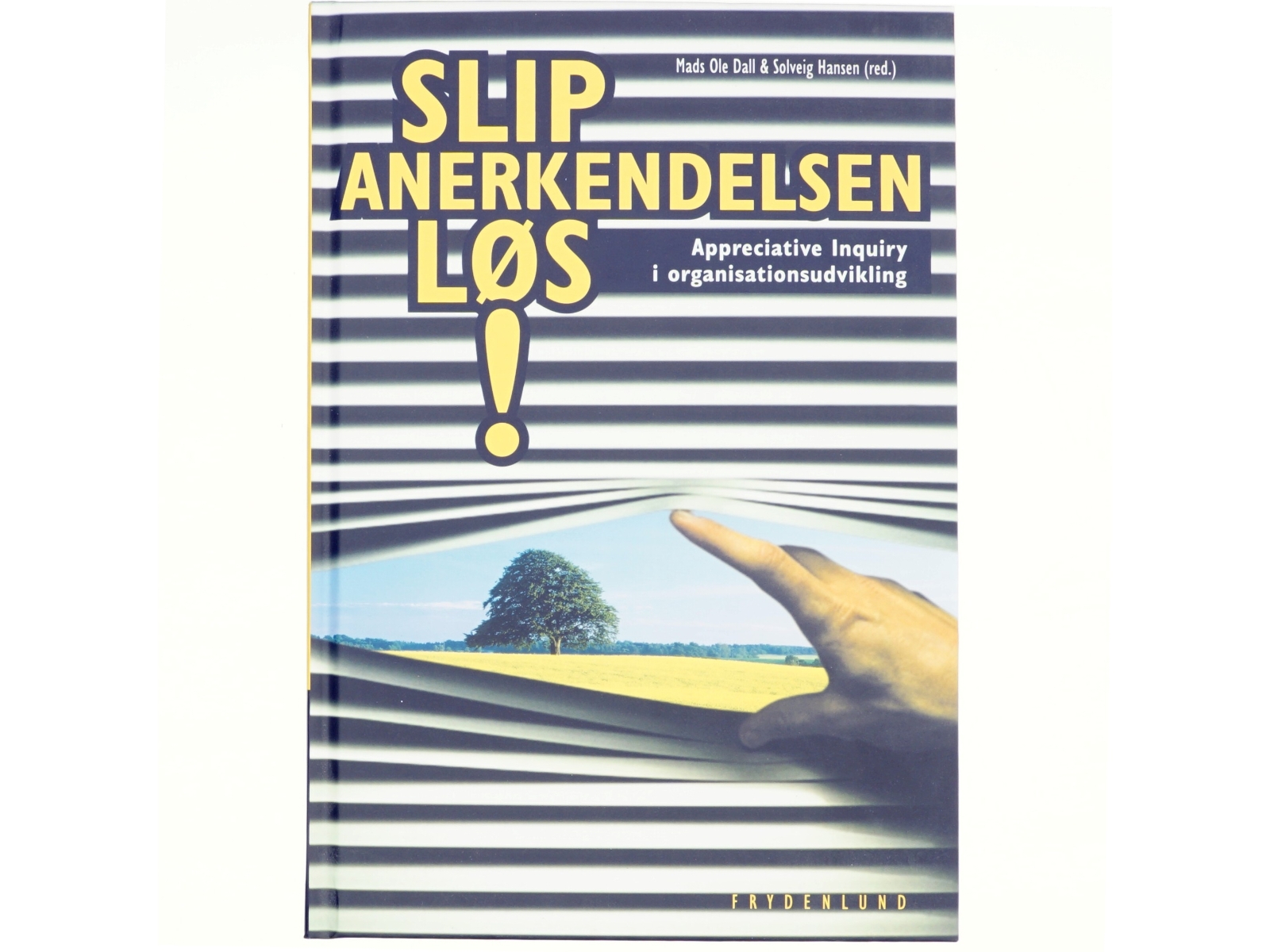 Slip anerkendelsen løs! : appreciative inquiry i organisationsudvikling af Mads Ole Dall (Bog)