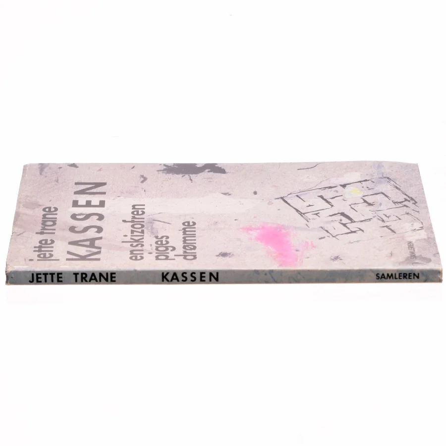 Kassen en skizofren piges drømme