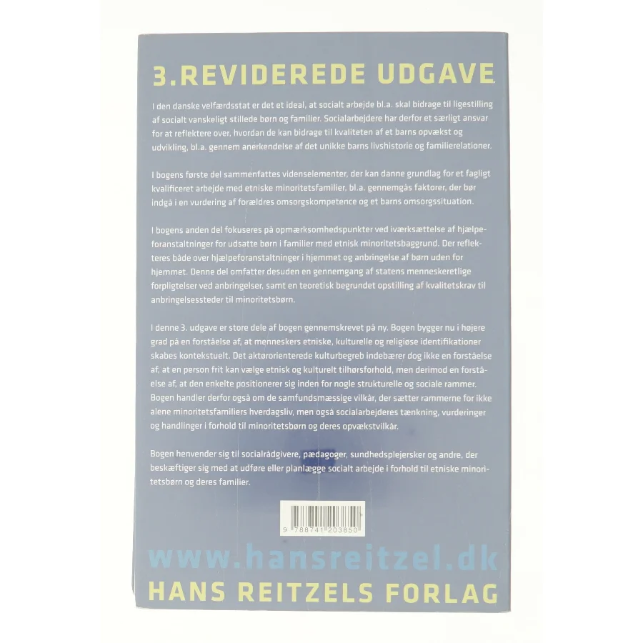 Etniske minoritetsfamilier og socialt arbejde af Marianne Skytte (Bog)
