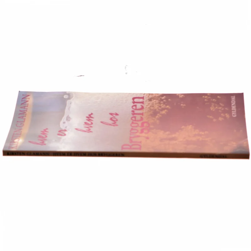 Hvem er hvem hos Bryggeren : 30 miniportrætter af Kirsten Glamann (Bog)