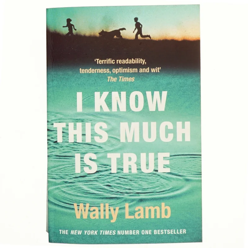 I know this much is true af Wally Lamb (Bog)