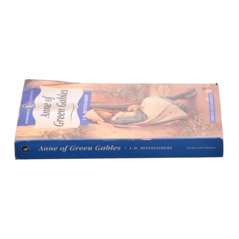 Wordsworth Children S Classics: Anne of Green Gables & Anne of Avonlea (Paperback) af Montgomery, Lucy Maud / Montgomery, L. (Bog)