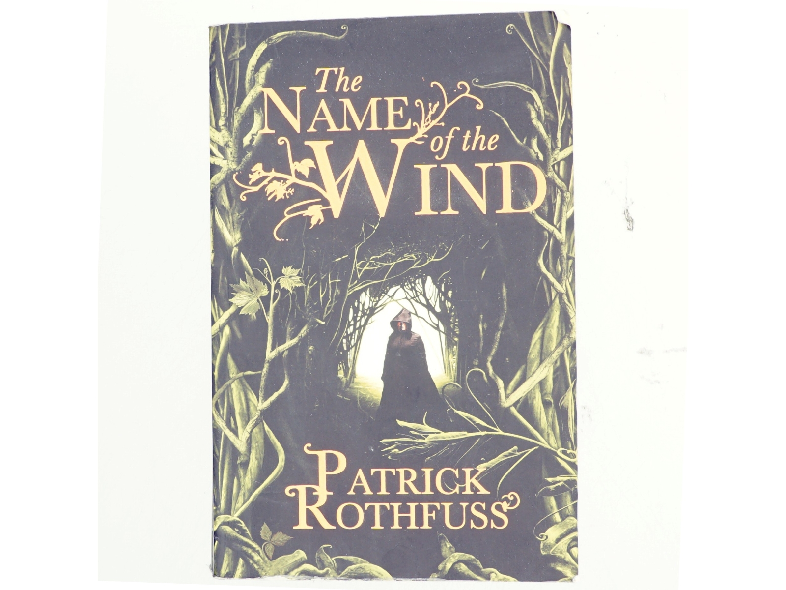 The name of the wind af Patrick Rothfuss (Bog)