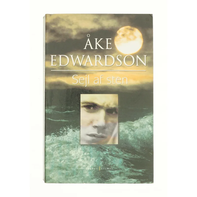 Sejl af sten af Åke Edwardson (Bog)