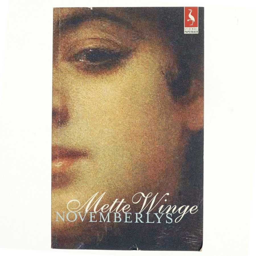 Novemberlys : en klunketidsroman af Mette Winge (Bog)