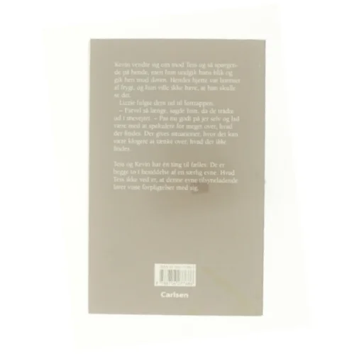 Det som ikke findes af Kate Thompson (f. 1956) (Bog)