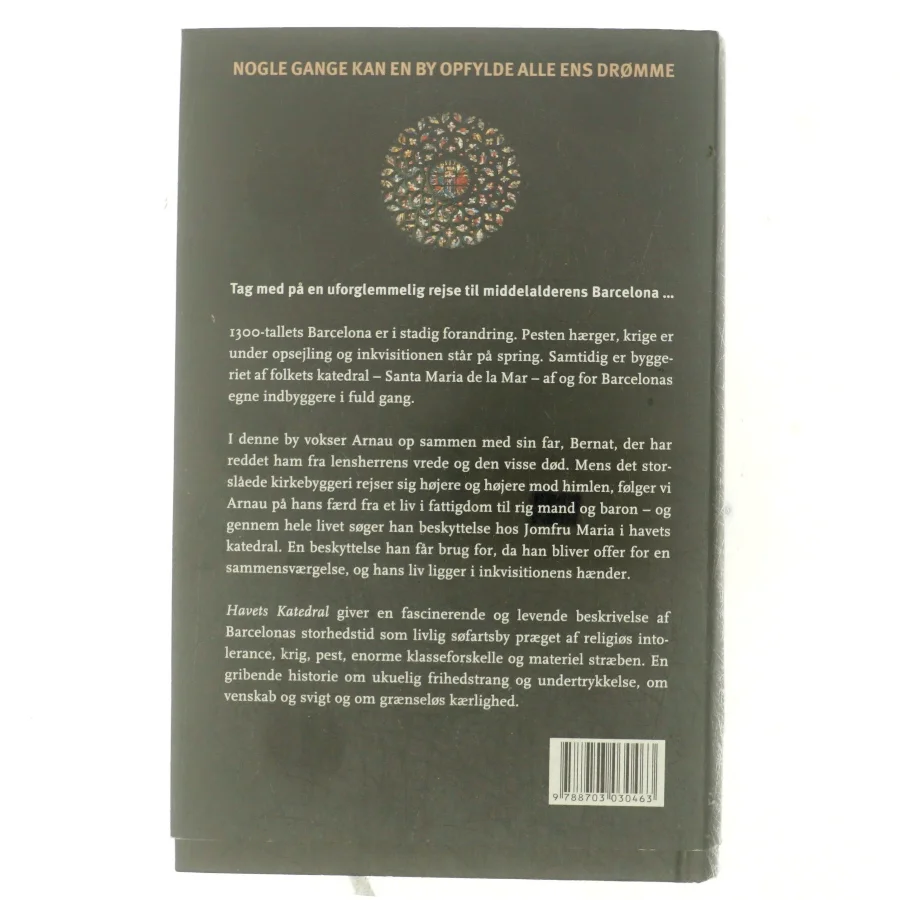 Havets katedral af Ildefonso Falcones (Bog)