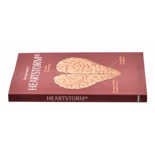 The dream society 2 - Heartstorm (Bog)