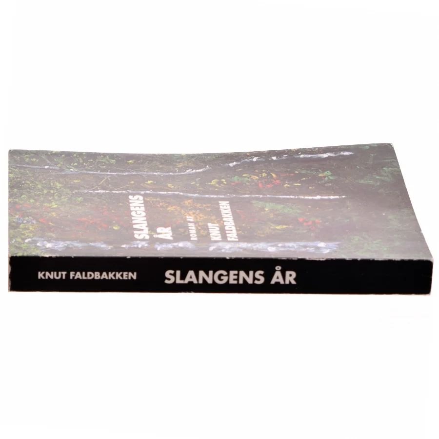 Slangens år af Knut Faldbakken (Bog)