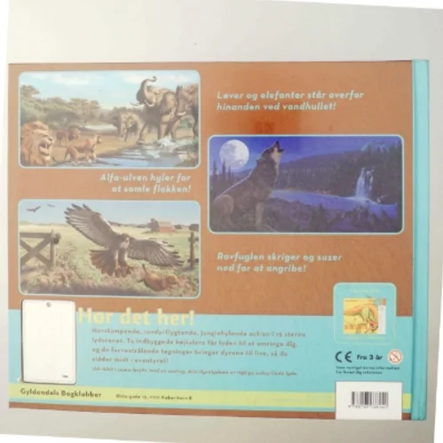 Vilde dyr af Rosanna Hansen, Linda Falken (Bog)