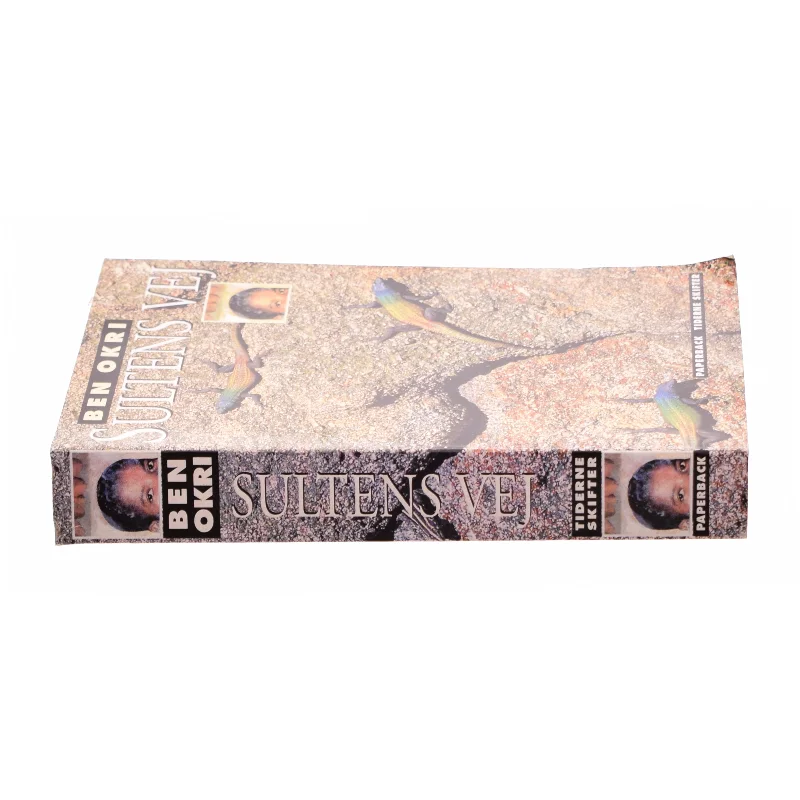 Sultens vej af Ben Okri (Bog)