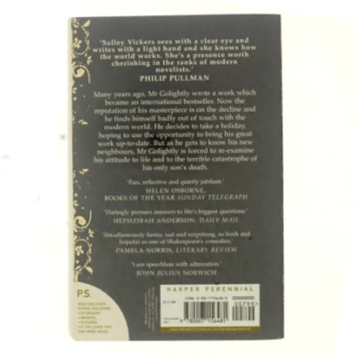 Mr. Golightly's holiday af Salley Vickers (Bog)