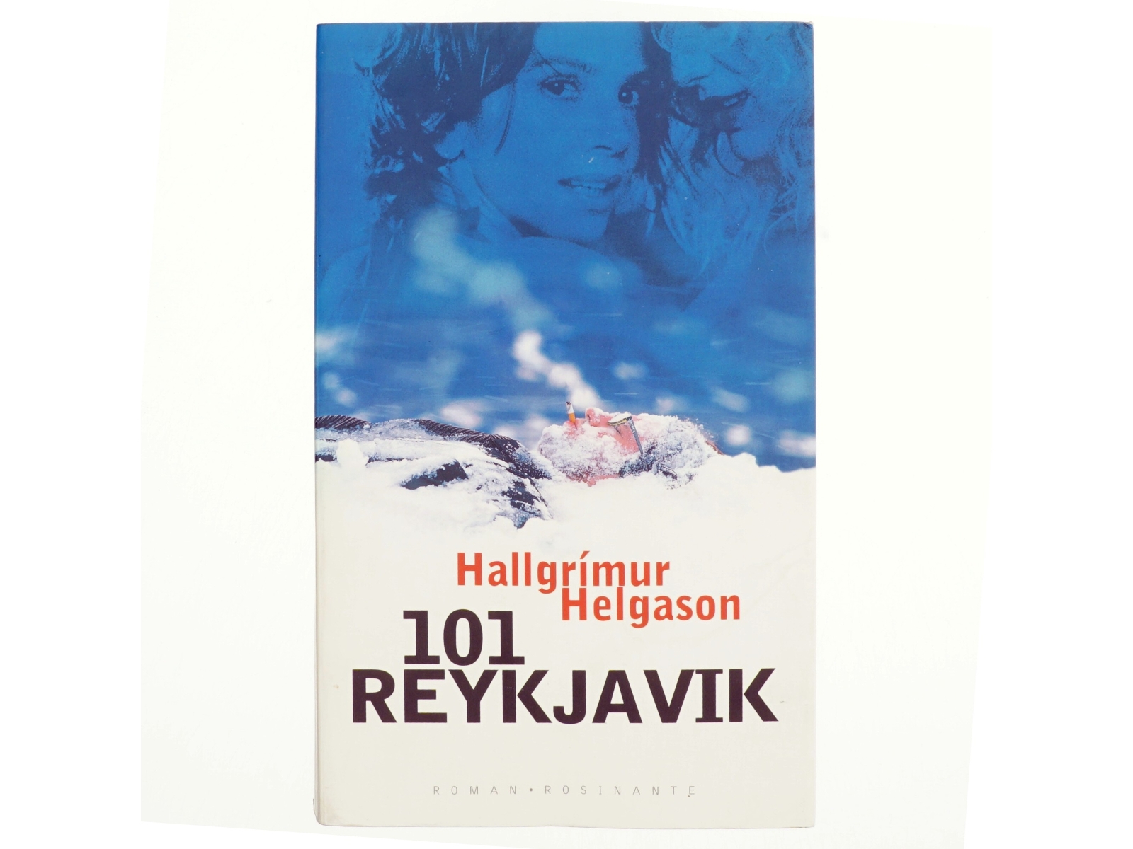 101 Reykjavik af Hallgrímur Helgason (Bog)