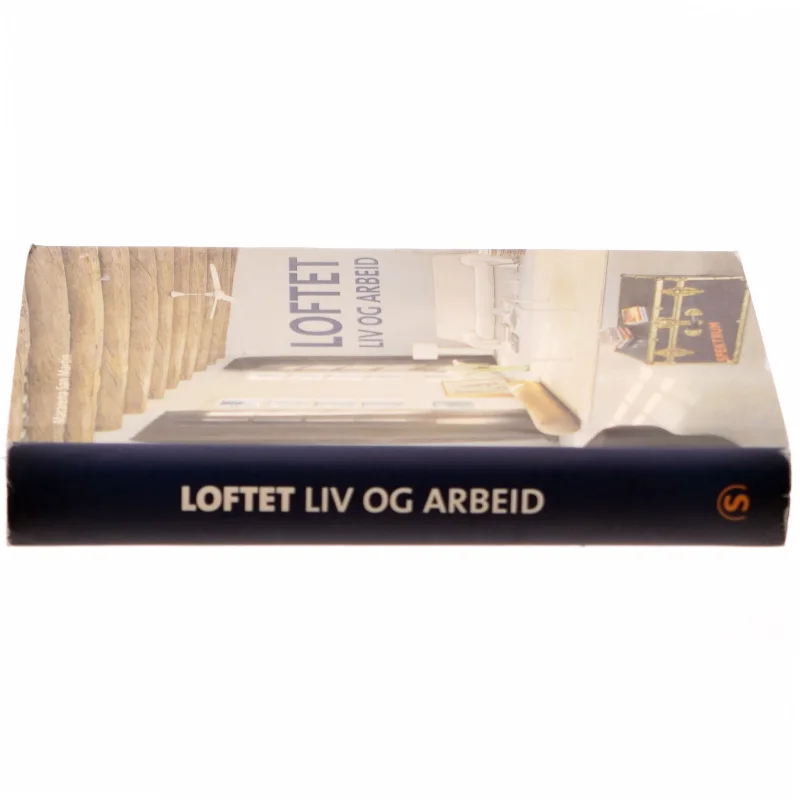 Loftet af Macarena San Martín (Bog)