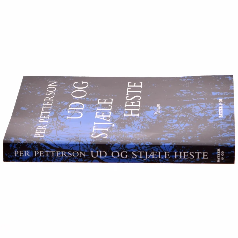 Ud og stjæle heste : roman (Bog)