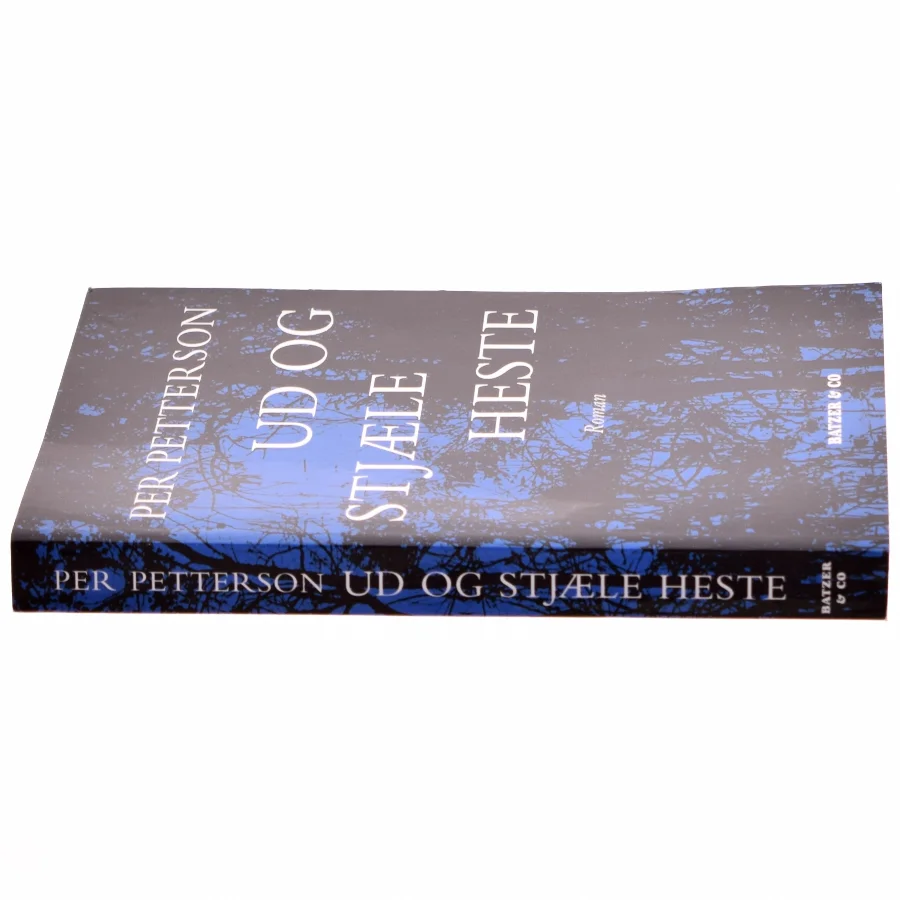 Ud og stjæle heste : roman (Bog)