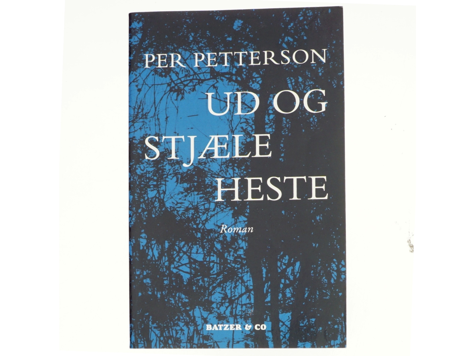 Ud og stjæle heste : roman (Bog)
