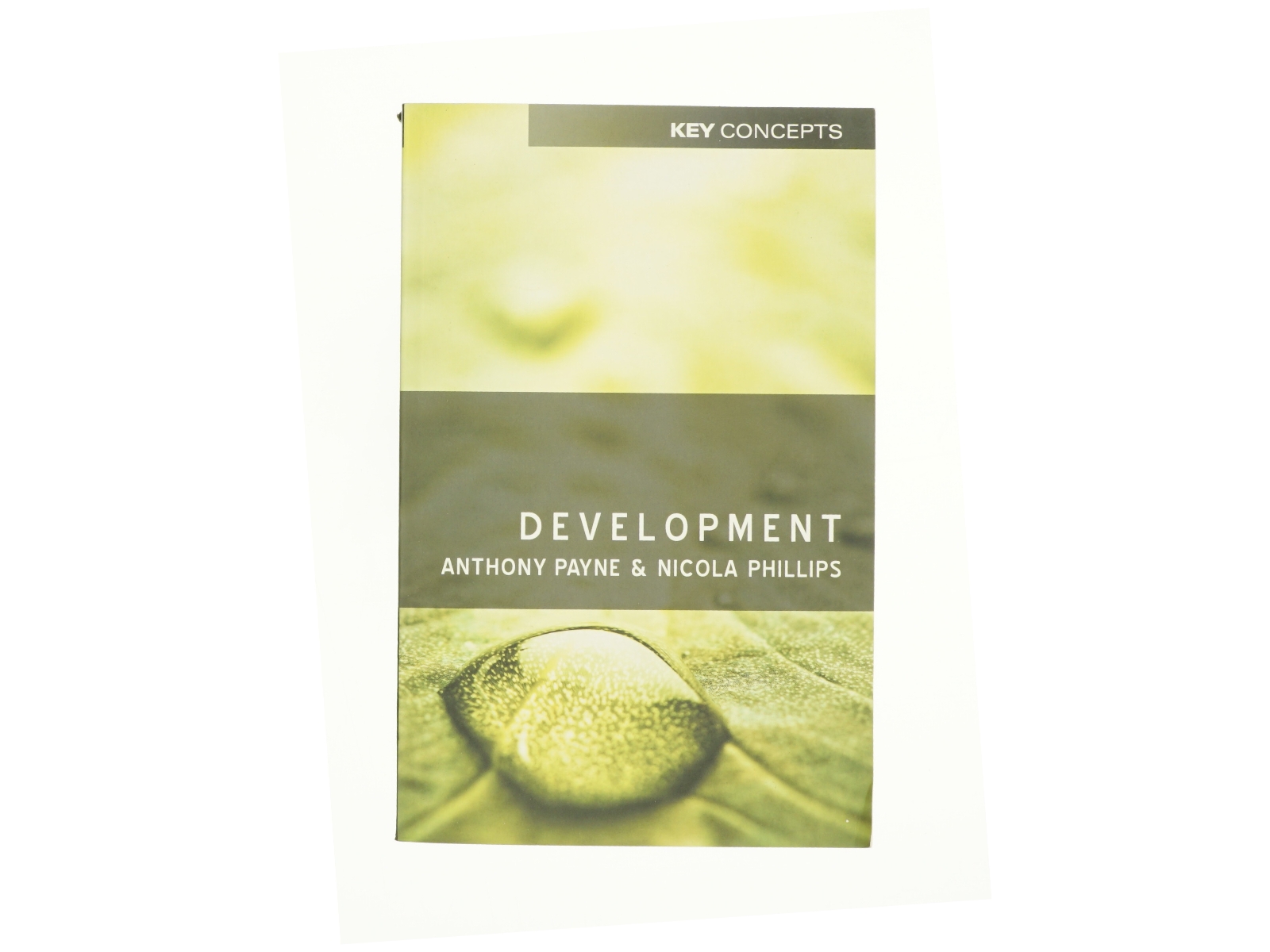 Development af Payne, Anthony / Phillips, Nicola (Bog)