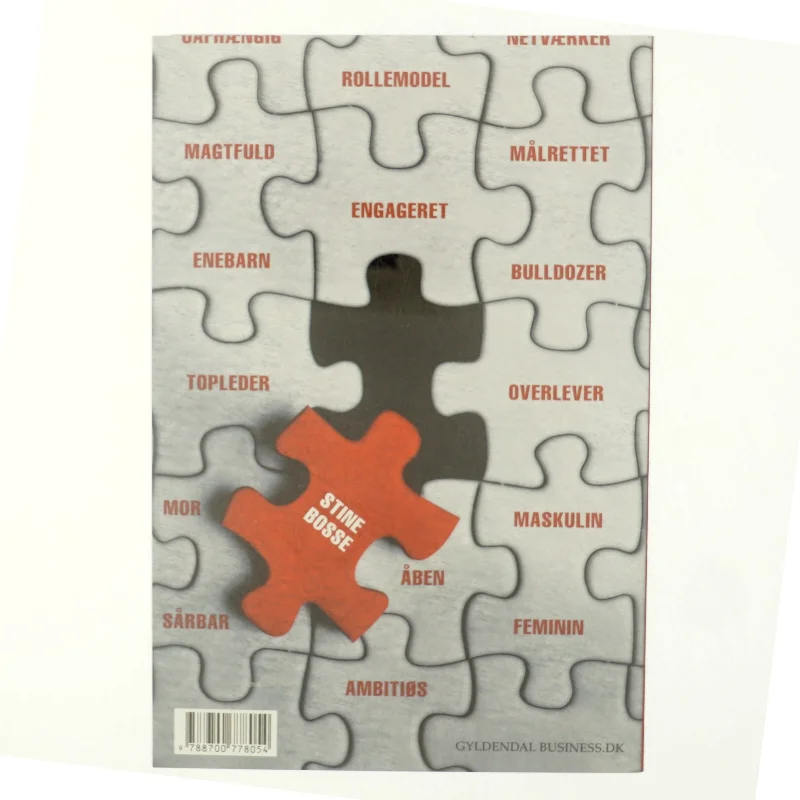 Stine Bosse : det handler om at turde af Jens Chr. Hansen (f. 1952) (Bog)