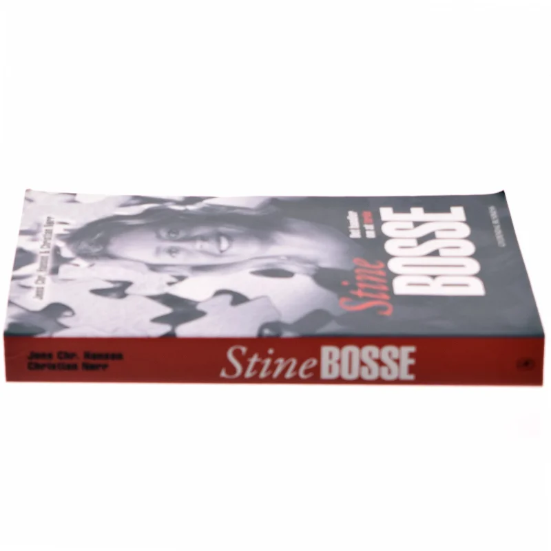 Stine Bosse : det handler om at turde af Jens Chr. Hansen (f. 1952) (Bog)