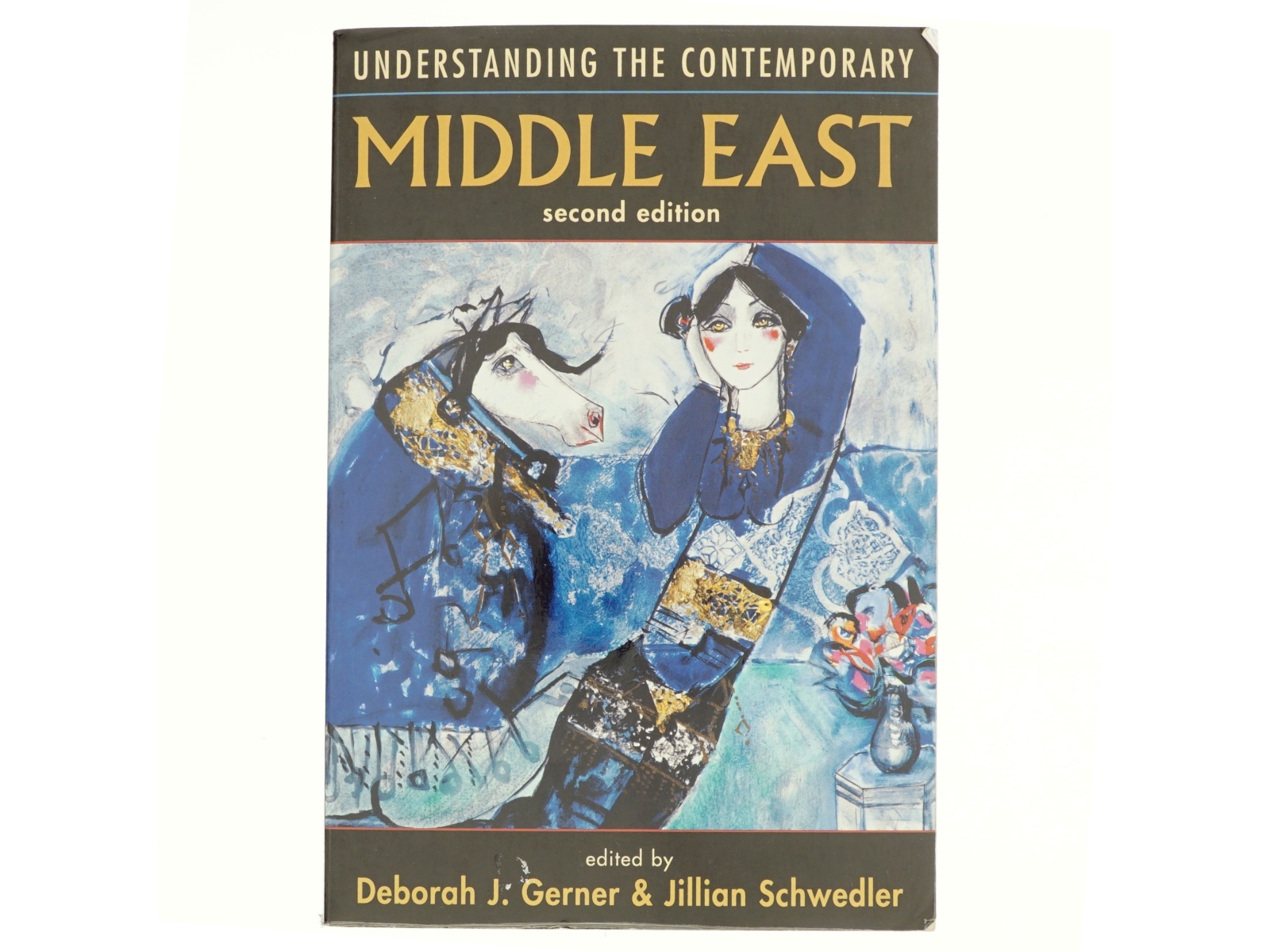 Understanding the Contemporary Middle East af Deborah J. Gerner, Jillian Schwedler (Bog)