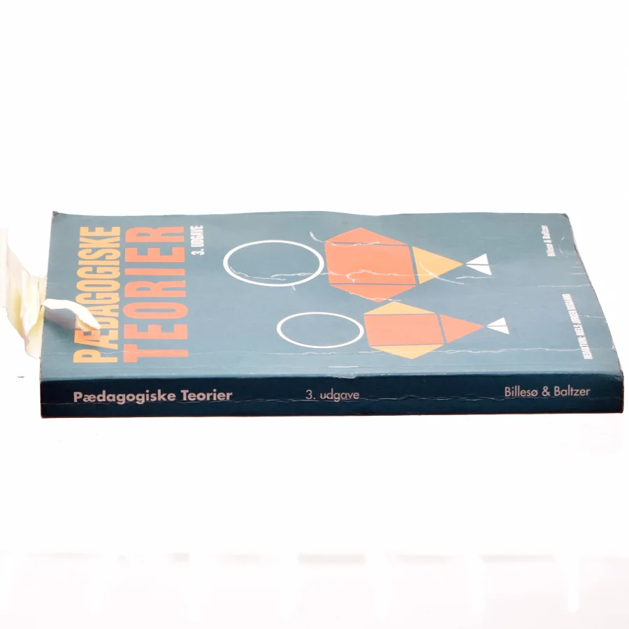 Pædagogiske teorier af Niels Jørgen Bisgaard (Bog)
