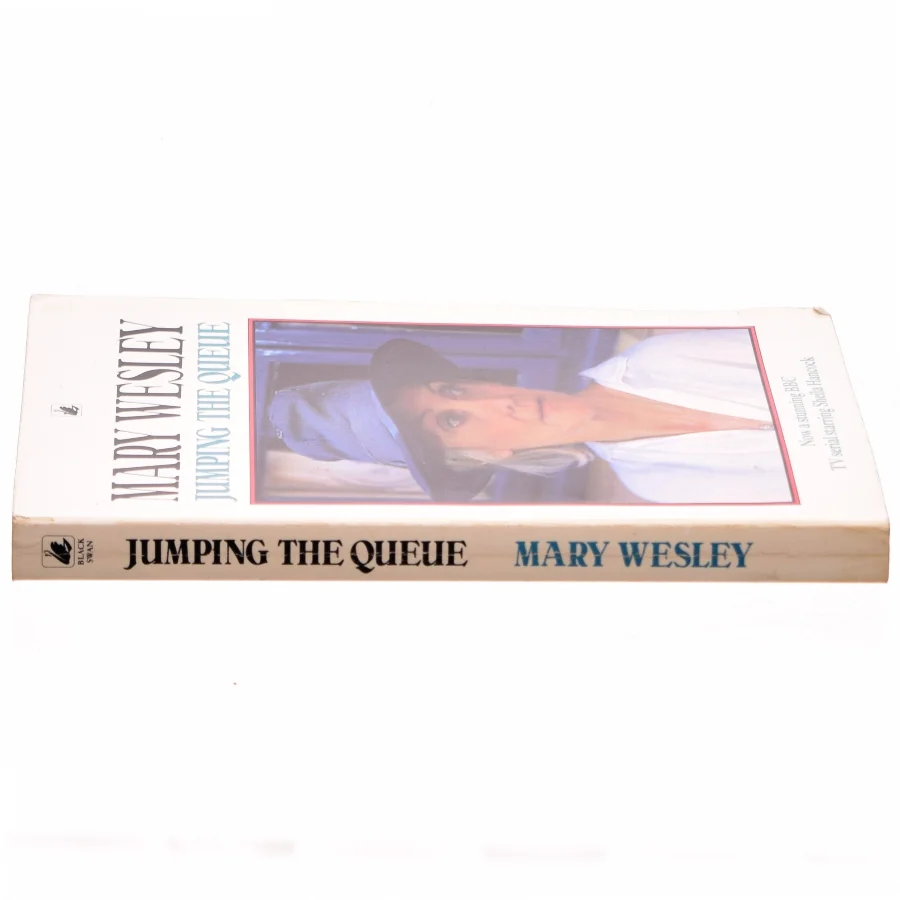 Jumping the queue af Mary Wesley (Bog)