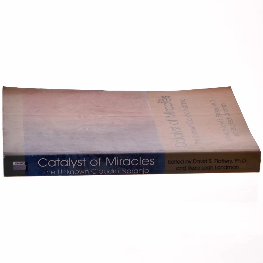 Catalyst of Miracles af David S. Flattery (Bog)