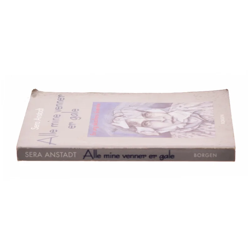 Alle mine venner er gale : en ung skizofrens tilværelse af Sera Anstadt (Bog)