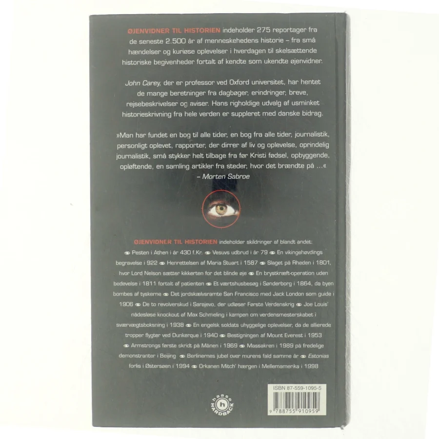 Øjenvidner til historien af John Carey (Bog)