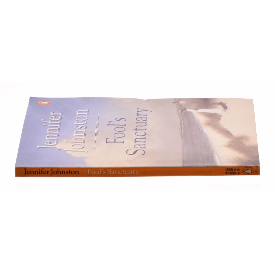 Fools Sanctuary Paperback | Indigo Chapters af Jennifer Johnston (Bog)