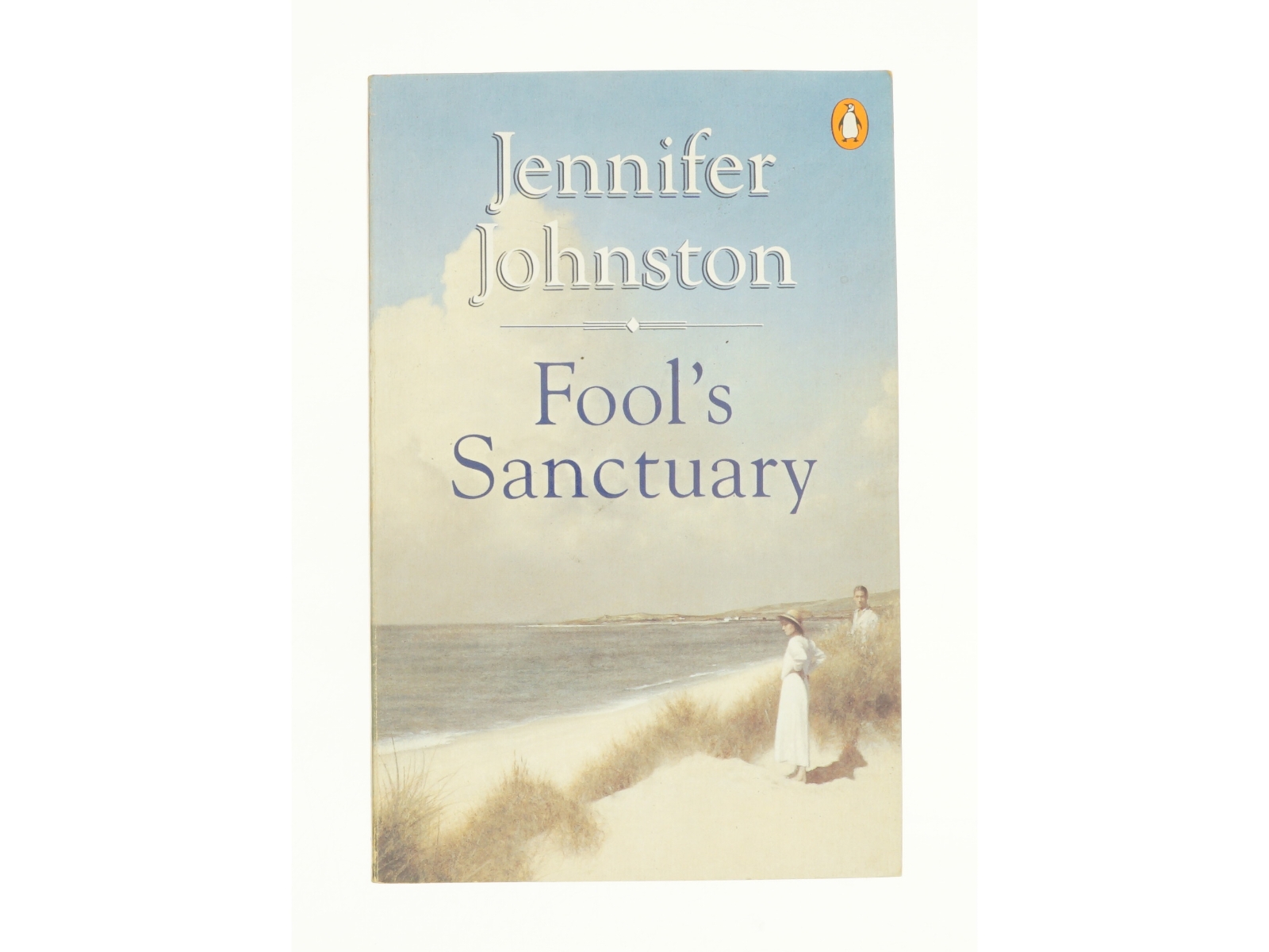 Fools Sanctuary Paperback | Indigo Chapters af Jennifer Johnston (Bog)