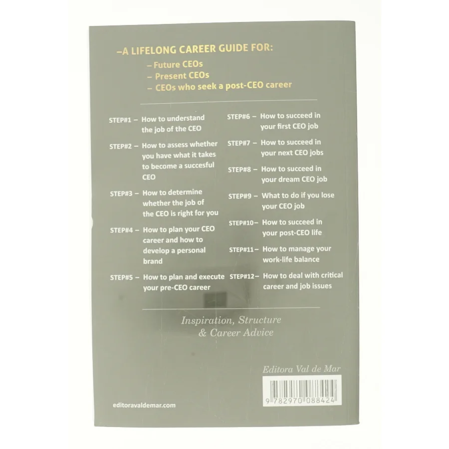 The Job of the CEOnaf Waldemar Schmidt (Bog)