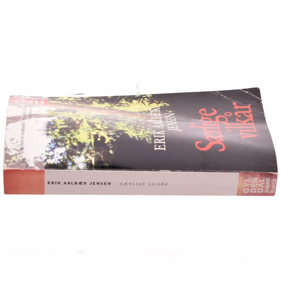 Særlige vilkår : roman af Erik Aalbæk Jensen (Bog)