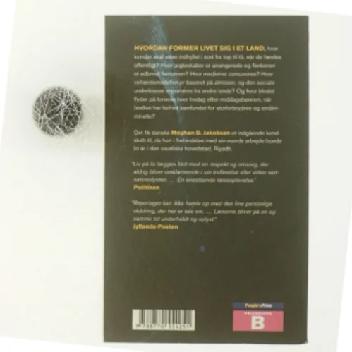 Om at være kone i Saudi-Arabien af Meghan D. Jakobsen (Bog)