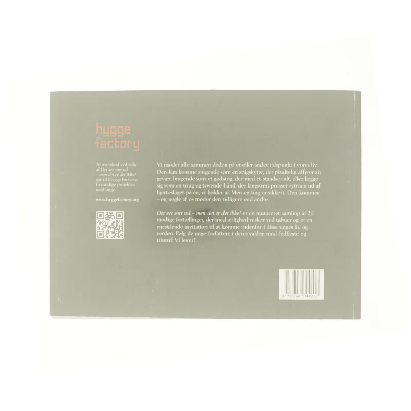 Det ser sort ud : men det er det ikke! af Danielle Munk Borg Epp Svendsen (Bog)