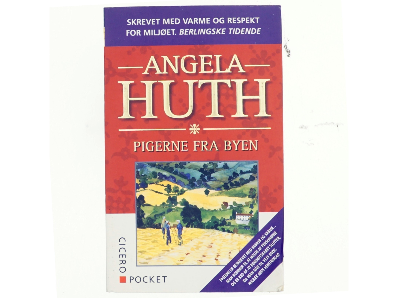 Pigerne fra byen af Angela Huth (Bog)