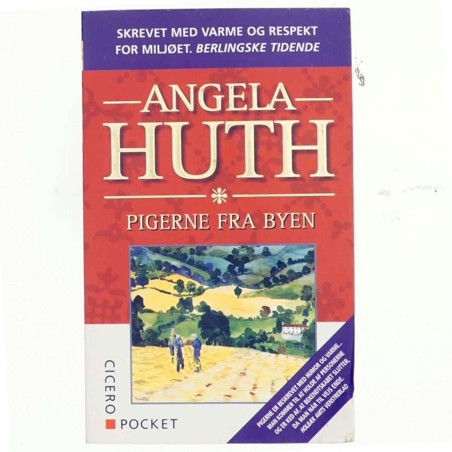Pigerne fra byen af Angela Huth (Bog)
